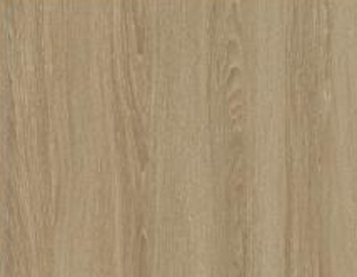 Orléans Oak 1